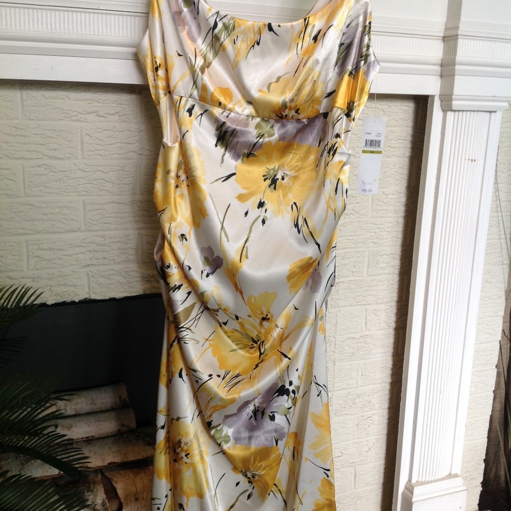 NWT Ladies Designer Dress!!!